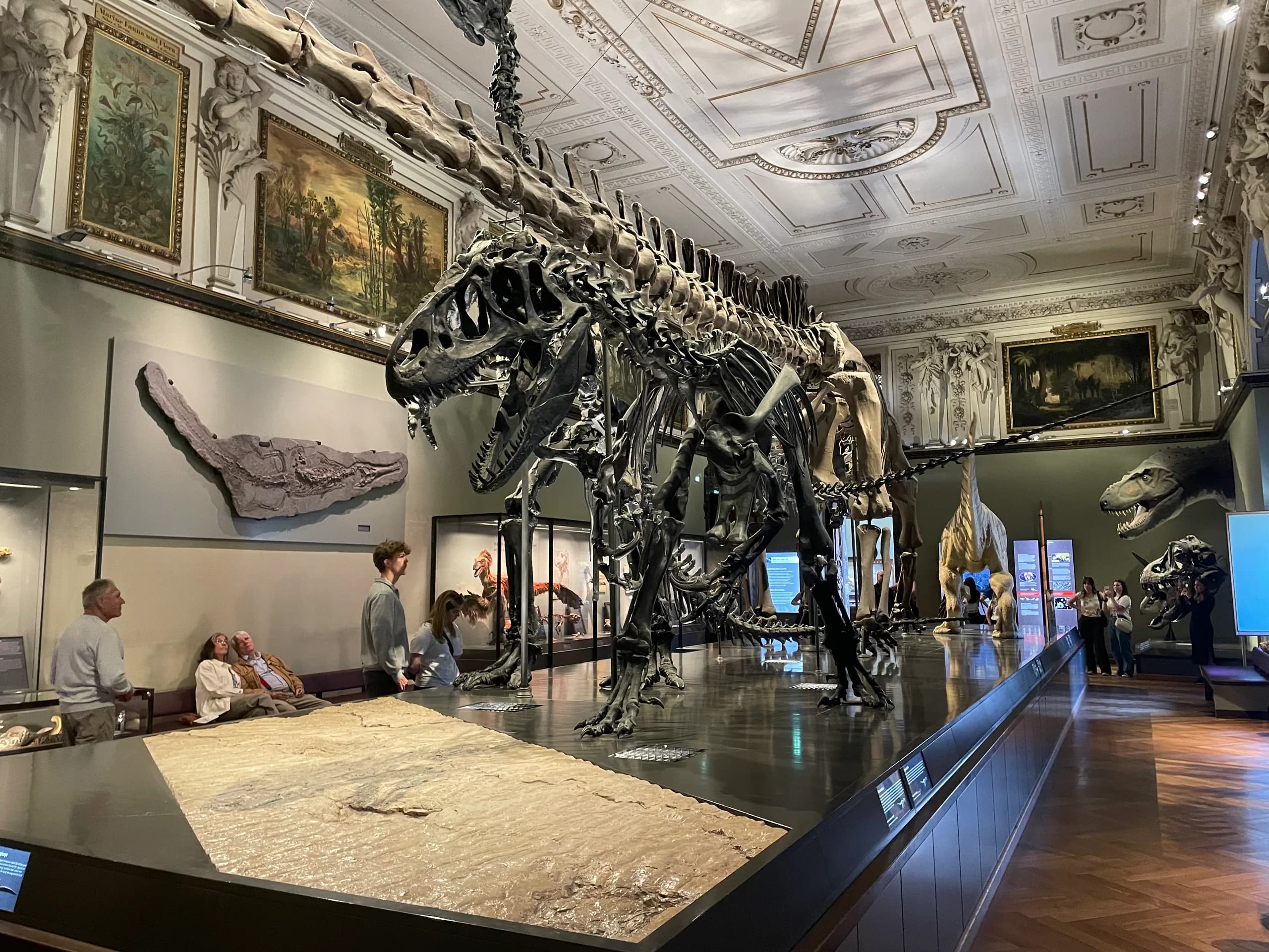 Dinosaur hall at Vienna's Natural History Museum