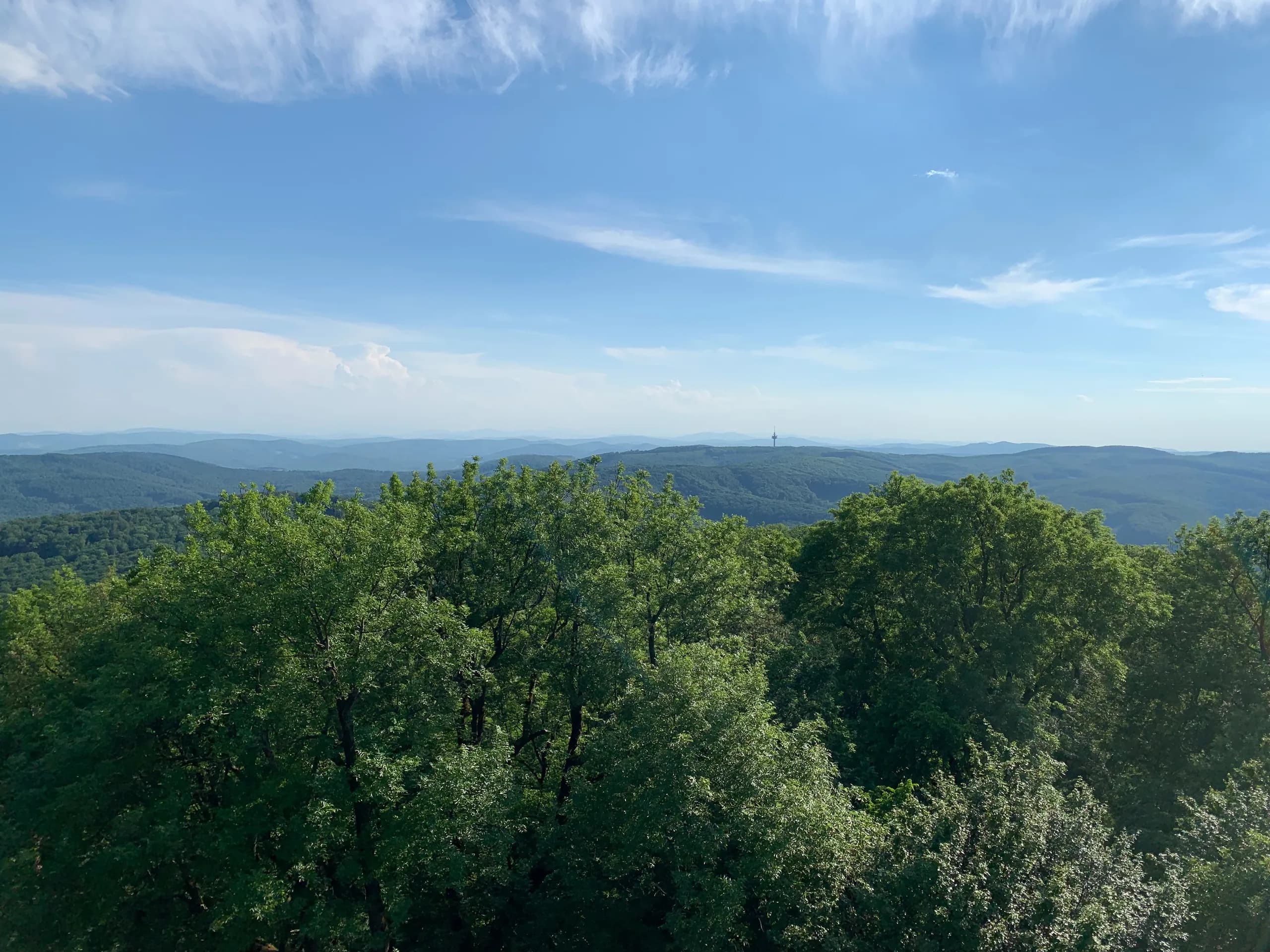 View across the Vienna Woods